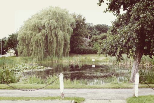 A picture of the village pond taken from the village hall